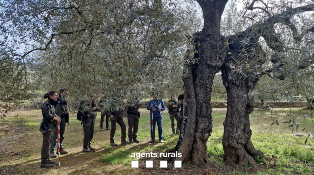 Photos with rural agents